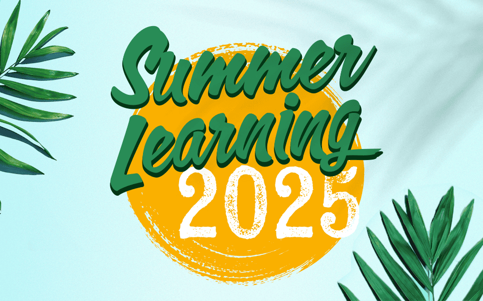 Das Dampsoft Summer Learning 2025
