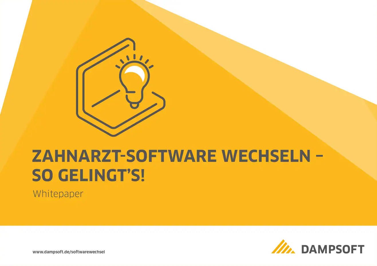 Dampsoft - Whitepaper Softwarewechsel - Leseprobe 1