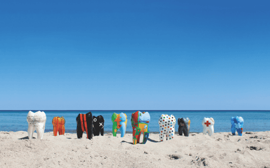 Dampsoft Dental Summer