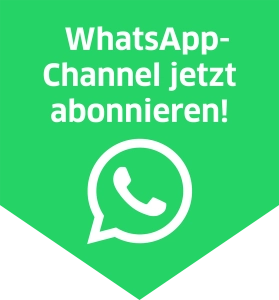 Dampsoft Stoerer Startseite Whatsapp-Channel